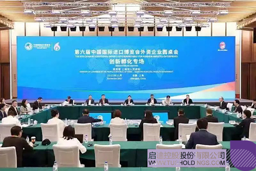 1699236495163829.jpg 1c.jpg