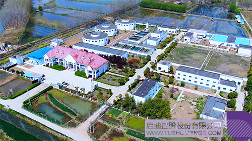 1710209610767996.jpg 6c.jpg