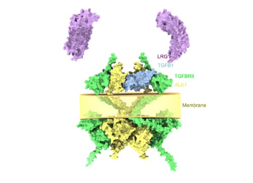 1761185786434278.jpg 640_副本.jpg